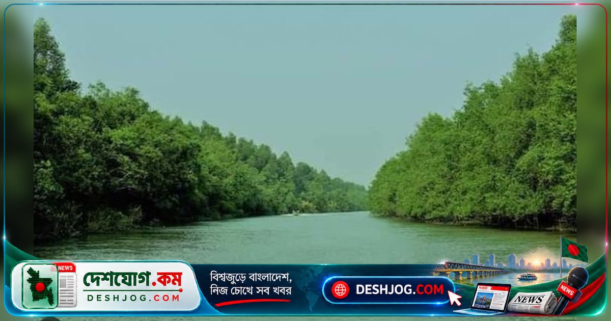 ৪৮ কোটি টাকায় বরিশাল-চট্টগ্রাম উপকূলে ৪৫০০ হেক্টর ম্যানগ্রোভ বনায়ন: জলবায়ু সংকট মোকাবিলায় সবুজ ঢালের প্রকল্প