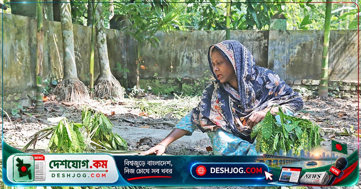 বাংলাদেশে সার্বভৌমত্বের ধীরলয়ে সংকোচন: কীভাবে রাষ্ট্র নিজের স্রষ্টাদের সম্মানকে লুকিয়ে রাখছে?