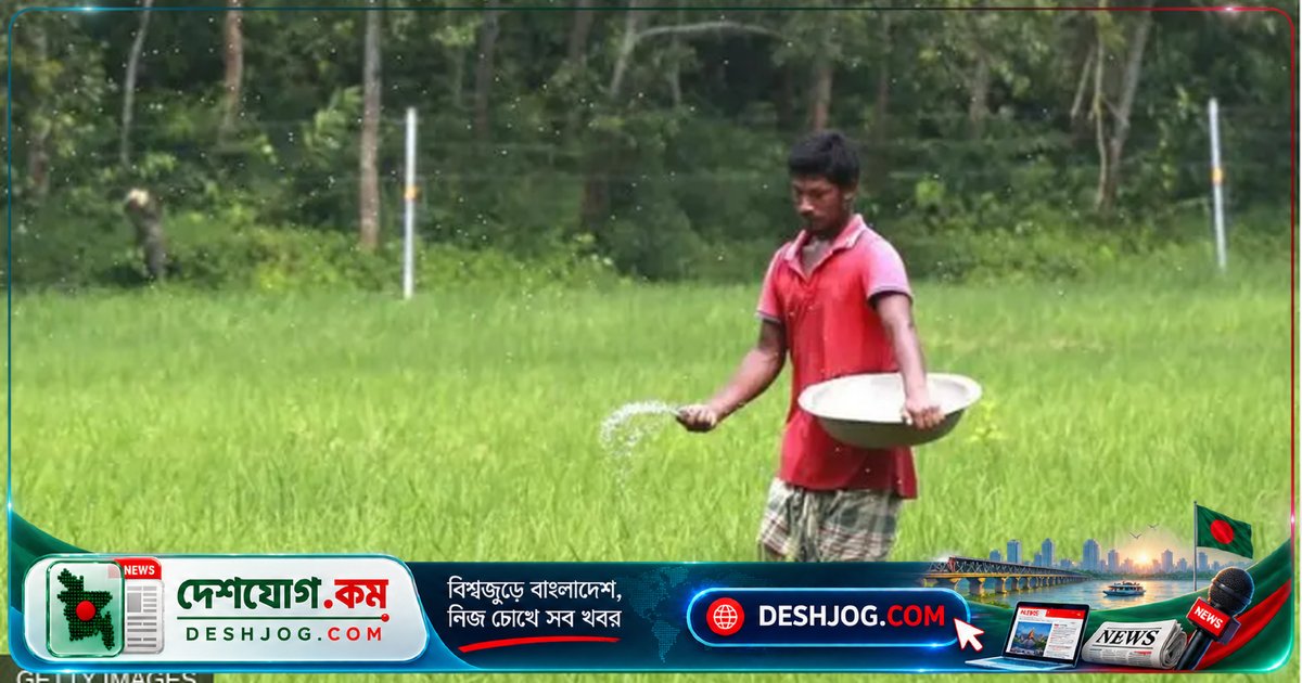আমন-রবি মৌসুমে সার সংকট: কৃষকদের যন্ত্রণা থেকে সরকারি মজুতের অদৃশ্য গল্প