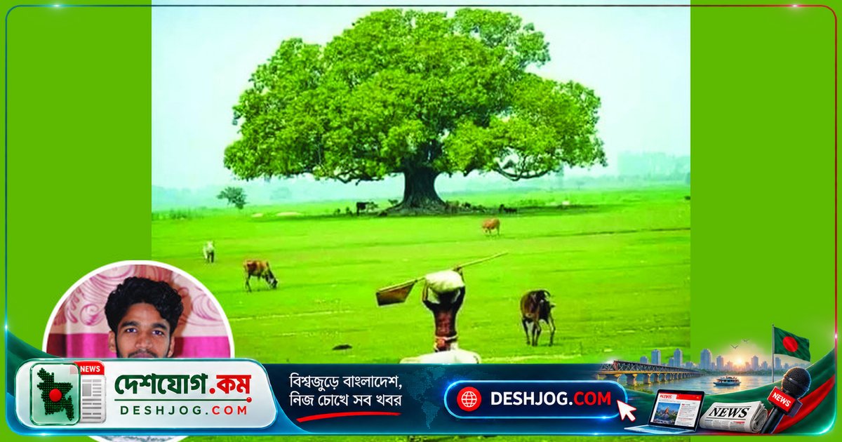 গ্রামীণ পর্যটন: বাংলাদেশের অর্থনীতিতে অপার সম্ভাবনার লুকানো খজানা