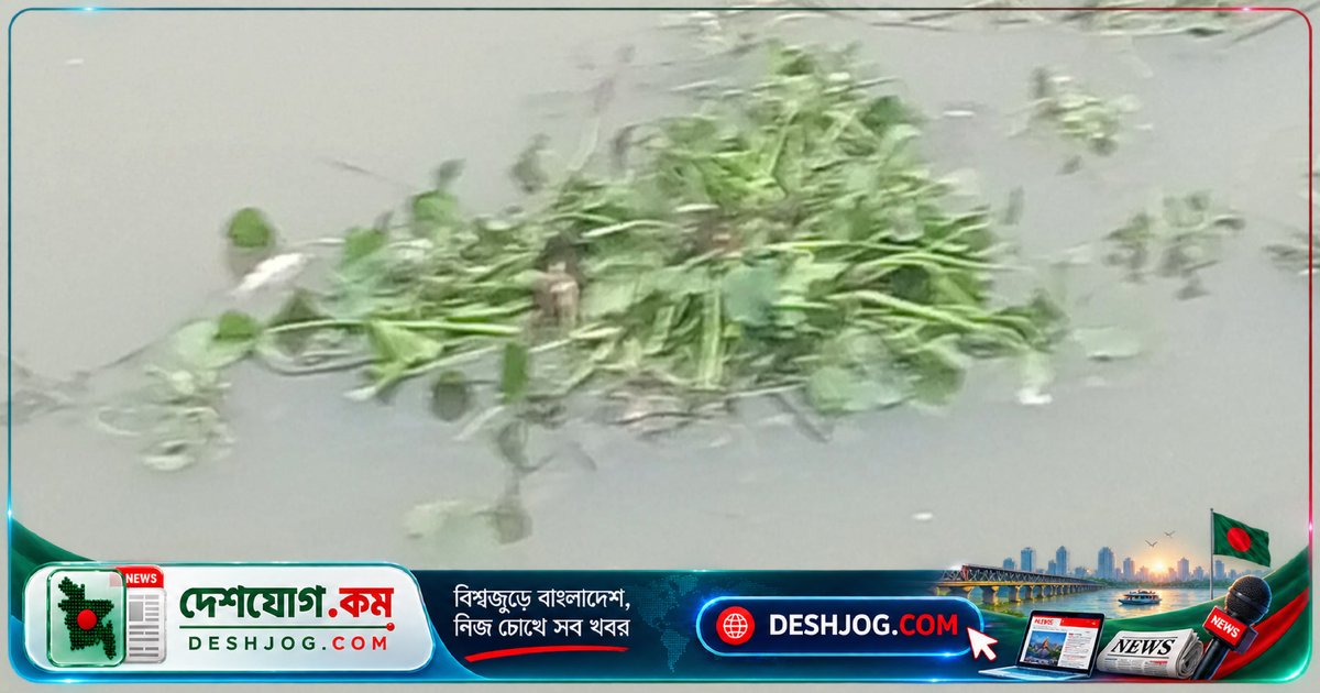 বারণই নদে মাছের মৃত্যু: তদন্ত কমিটি পানি ও নমুনা সংগ্রহ করে কারণ খুঁজতে