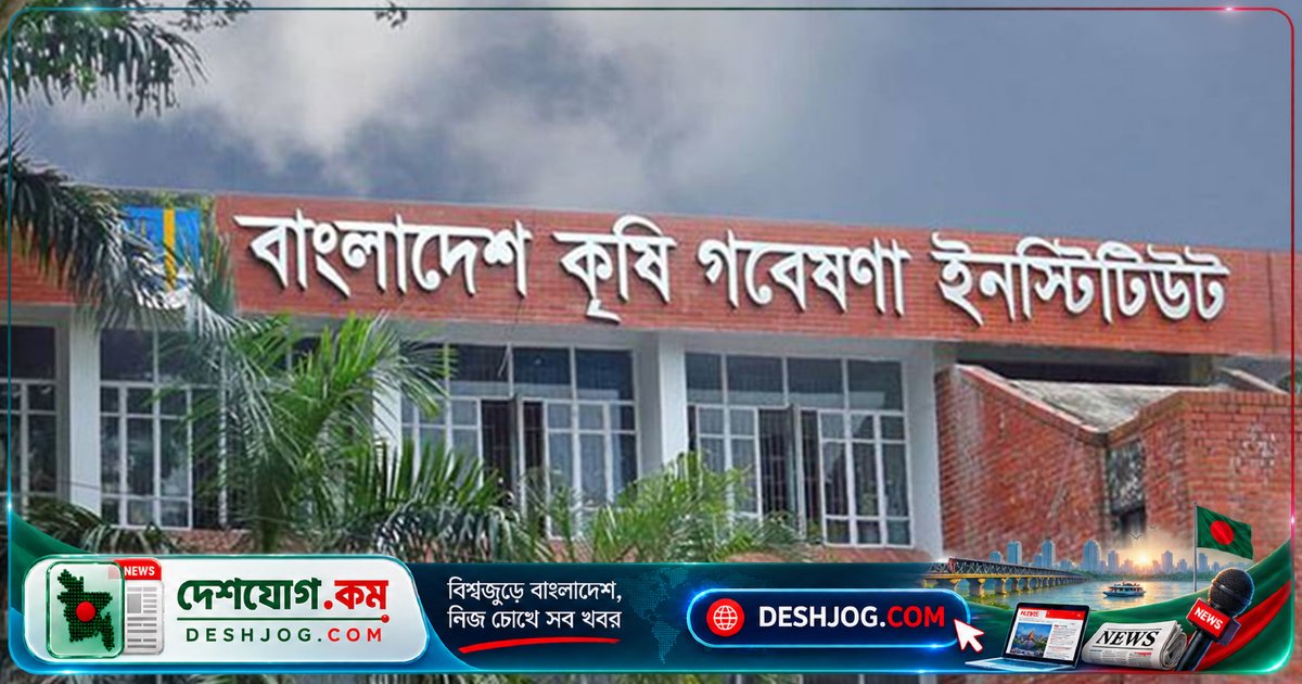 বাংলাদেশ কৃষি গবেষণা ইনস্টিটিউটে ২৮৭ জনের বড় নিয়োগ: ৩৪ পদে আবেদন শুরু ২১ সেপ্টেম্বর