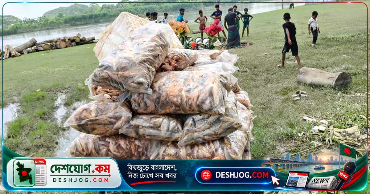 বরিশালের মুলাদীতে রাসায়নিক মেশানো পোয়া মাছ জব্দ, মাছ ব্যবসায়ীকে অর্থদণ্ড ও শিশু মৃত্যুতে দুর্ঘটনা
