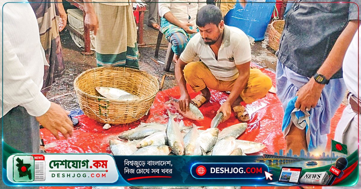 বরিশালের নদীতে ইলিশের দেখা মেলে দাম কমলেও মা মাছের শঙ্কা বাড়ছে: বিশেষজ্ঞদের সতর্কবার্তা