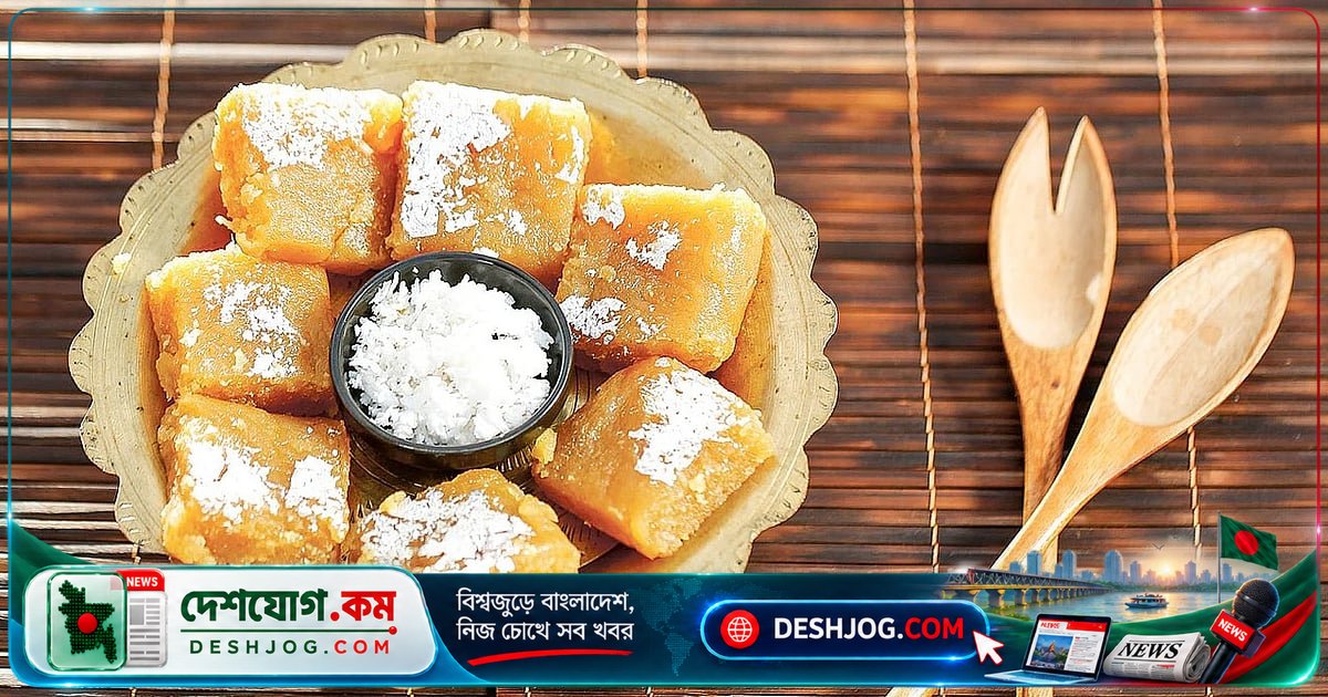 বেসন ও নারকেল দিয়ে স্বাদানুভূতির বরফি তৈরি করুন সহজ পদ্ধতিতে