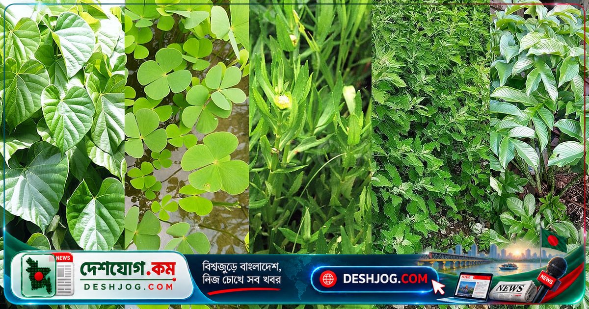 ভূত চতুর্দশীতে ১৪টি শাকের গুণ ও ঐতিহ্য: আয়ুর্বেদ থেকে প্রাচীন বিশ্বাসের গল্প