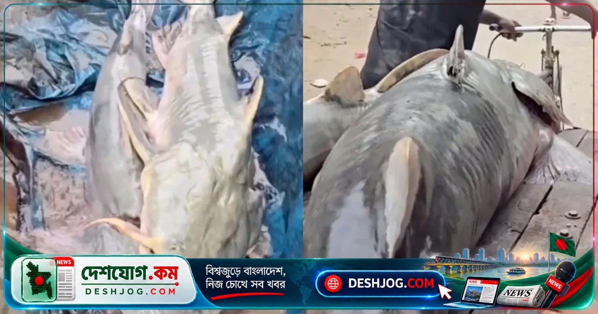 বিহারে নেপালের মাছ খেয়ে অসুস্থতার ঝুঁকিতে ভারতীয়রা, সরকারের জারি সতর্কতা