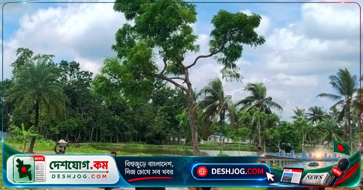 বরিশালের ডেফুলিয়ায় খালেদা জিয়ার স্মৃতিস্থল রক্ষায় বিসিসির উদ্যোগ: নিমগাছ ও ফলক সংস্কারের পরিকল্পনা