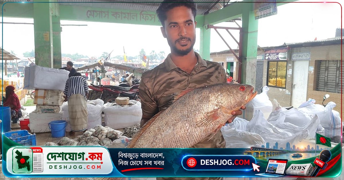 বঙ্গোপসাগরে ধরা ৮ কেজি কালো পোয়া মাছ বিক্রি ৪০ হাজার টাকায়, বিজ্ঞানী সতর্কতা দেন জলবায়ু পরিবর্তনের জন্য