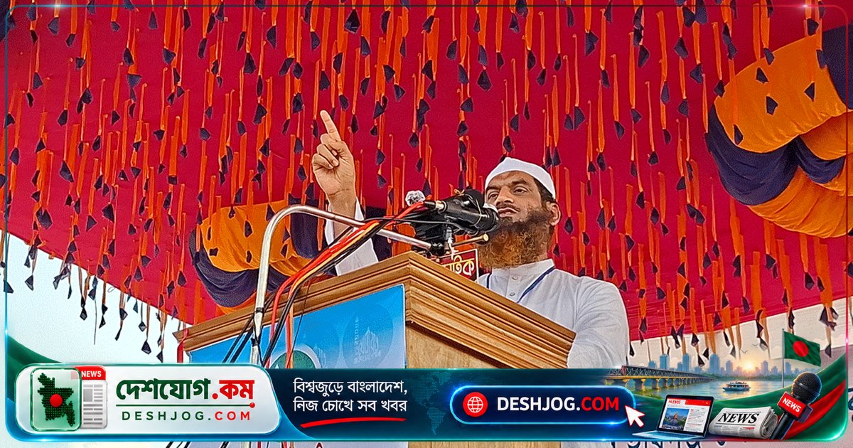 বিএনপি সরকারের বৈধতা প্রশ্নে মামুনুল হক: গণভোট অবৈধ হলে তাদেরও অবৈধতা সত্য