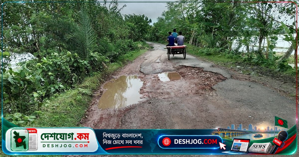 ফরিদপুরের বোয়ালমারী সড়ক দুর্ঘটনার ঝুঁকিপূর্ণ: গর্তে পানি জমে চলাচল বিপদে