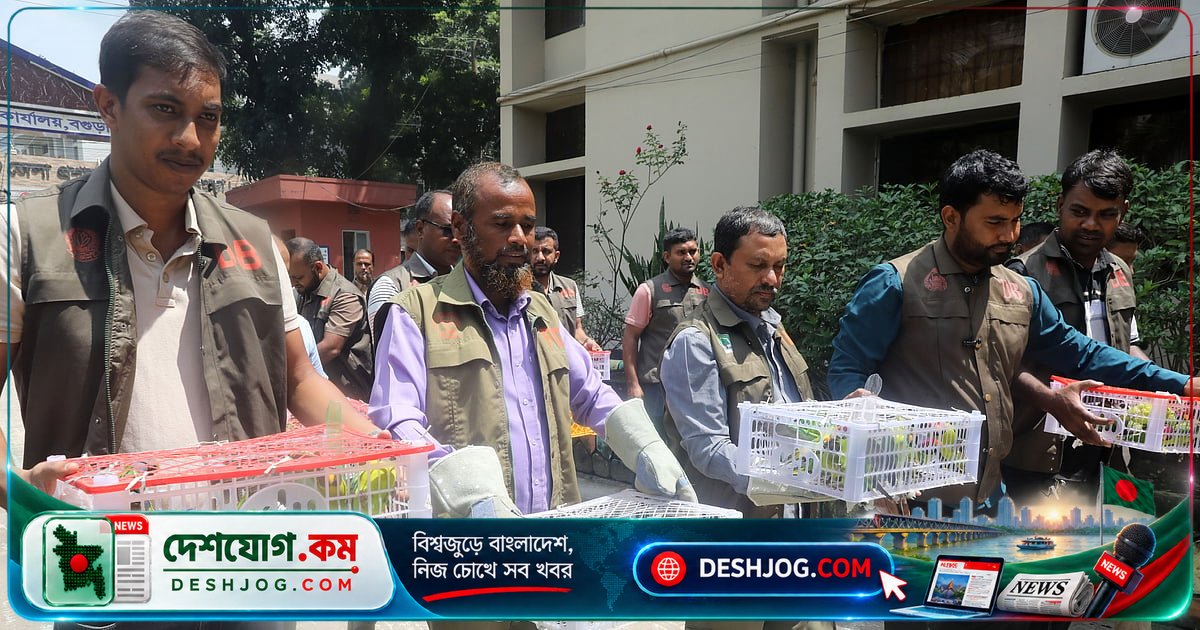 বগুড়া বাস টার্মিনালে পাচারকৃত ১০৩টি টিয়া পাখি মুক্ত আকাশে উড়ে