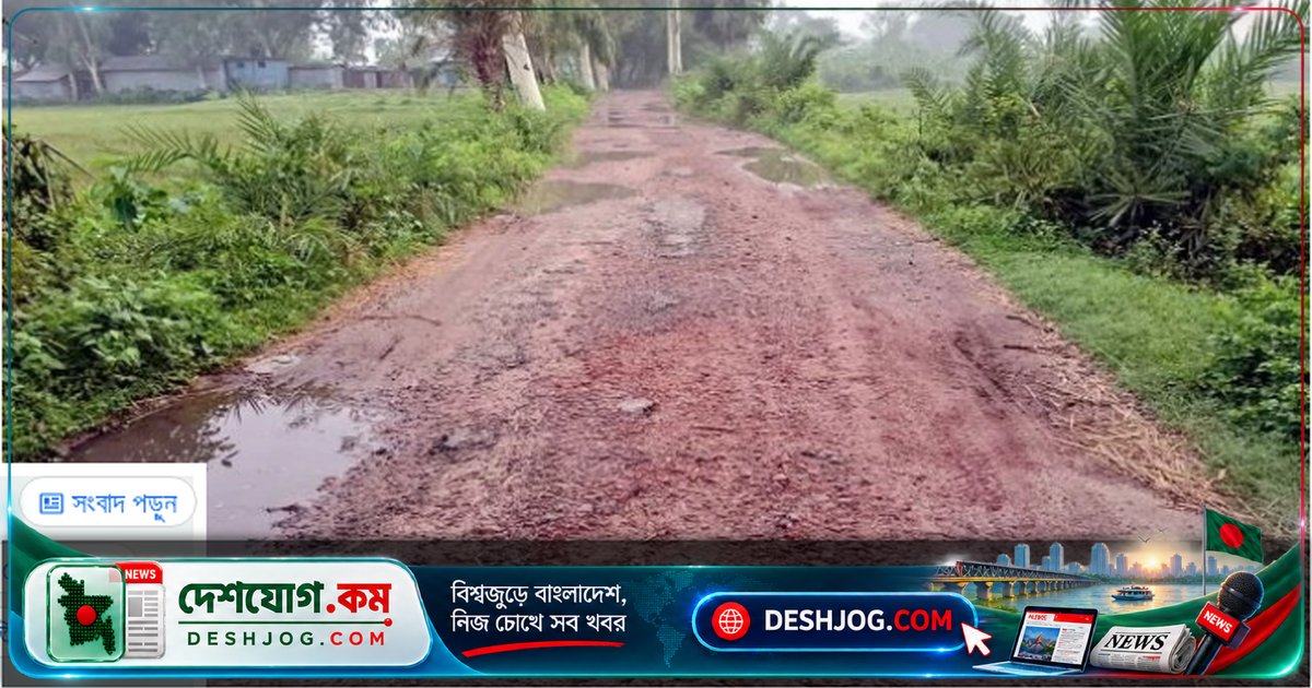 বগুড়া আদমদীঘির কাশিমালা সড়ক: কার্পেটিং ভেঙে গর্তে পরিণত, গ্রামবাসীর চলাচল বিপদে