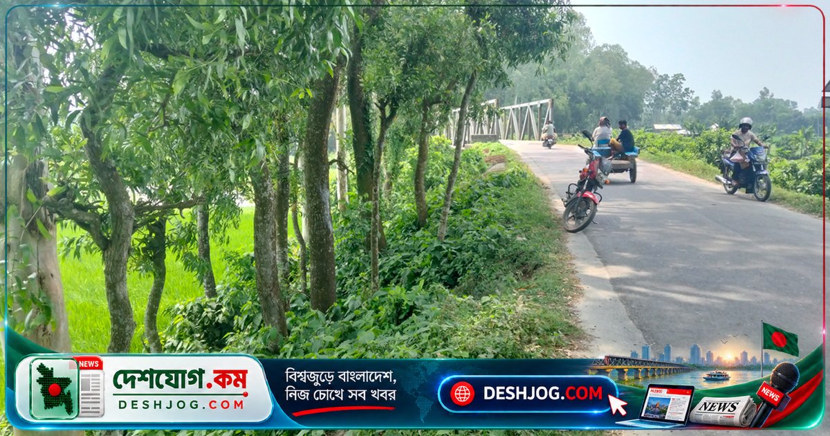 বগুড়া: রাতের অন্ধকারে সরকারি গাছ কাটার সংঘবদ্ধ চক্রের দুর্নীতির গুঁড়ি উদ্ধার হলেও জড়িতদের বিরুদ্ধে কোনো কার্যকর ব্যবস্থা নেই
