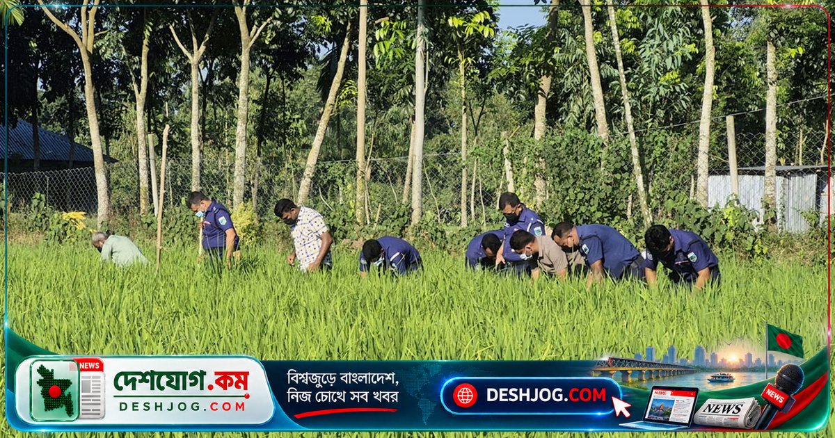 বগুড়া সোনাতলায় নিখোঁজ শিশু ইউসুফের ক্ষতবিক্ষত মরদেহ উদ্ধার, মাথা ও হাতপায়ের অংশ অনুপস্থিত