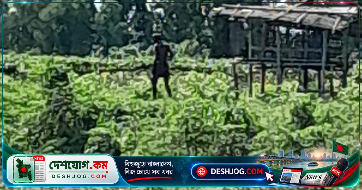 সীমান্তে অবৈধ পুশ-ইন প্রতিরোধে বিজিবি ও বিএসএফের যৌথ প্রচেষ্টা: ভারত থেকে ফিরিয়ে নেওয়া অজ্ঞাত ব্যক্তি