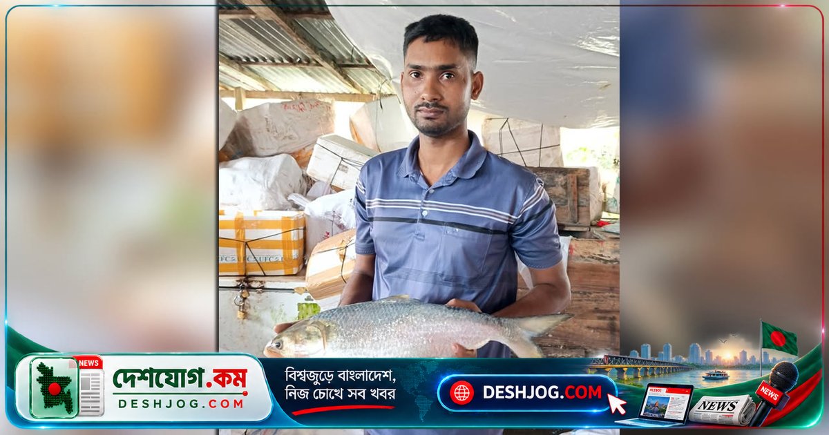 বরগুনার পাথরঘাটা থেকে ১৫ হাজার টাকায় বিক্রি হয় ২ কেজি ৭০০ গ্রামের রাজা ইলিশ, খুলনা বাজারে নিয়ে যাওয়া হবে
