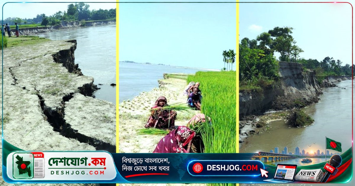 ব্রহ্মপুত্রের ভাঙনে এক সপ্তাহে হারায় ১৮টি বাড়ি ও ৫০ একর জমি: রৌমারী উপজেলার মানুষের দুঃখের গল্প