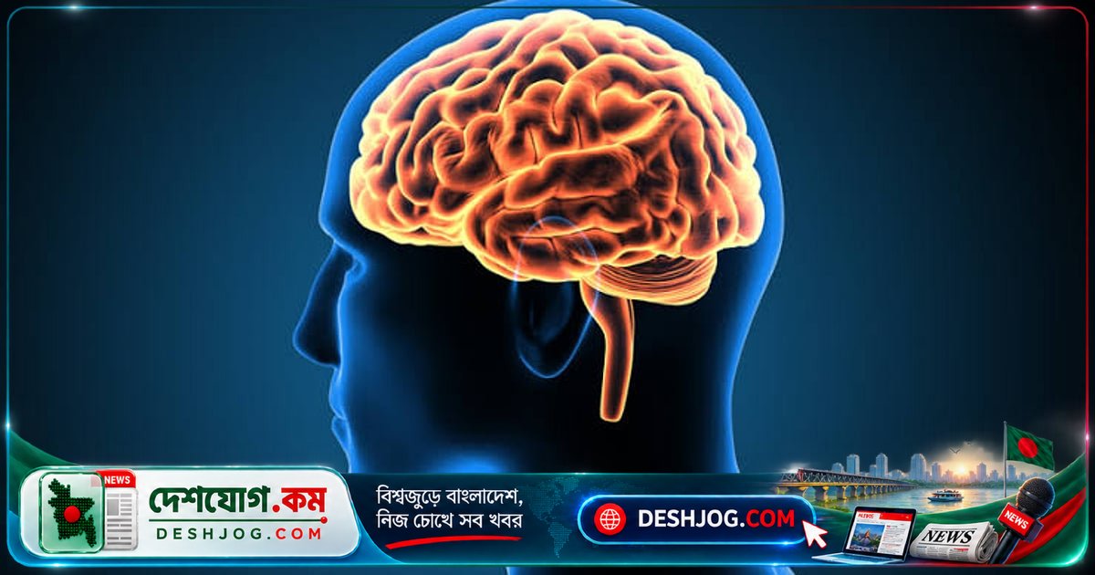 মস্তিষ্কের অজানা ক্ষমতা: নিজের ক্ষতির সারার জন্য কীভাবে নিজেই ডাক্তারি করে?