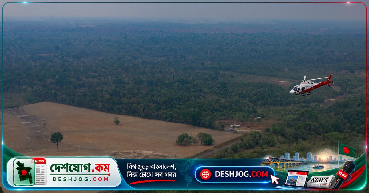 ব্রাজিলের অ্যামাজন বনাঞ্চলে ৩৮ বছর পর সর্বনিম্ন বনহরায়ণ, লুলা সরকারের অর্জন