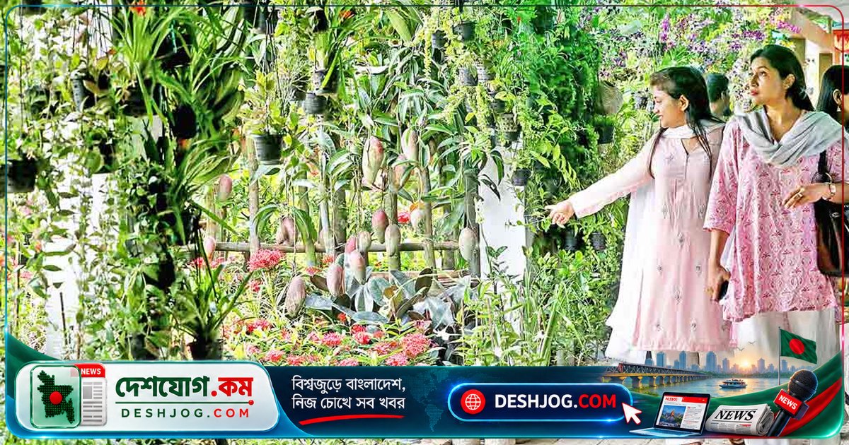বৃক্ষমেলা থেকে উদ্ভিদ উৎসবে রূপান্তর: ঢাকার নাগরিকদের পছন্দের বাগানবিলাস