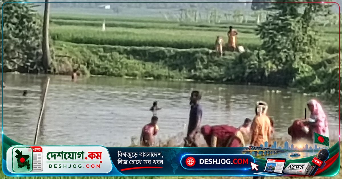 চাঁপাইনবাবগঞ্জে বিষপ্রয়োগে ১৪ লাখ টাকার মাছ লুট: পুকুরের মালিক অভিযোগ দেন