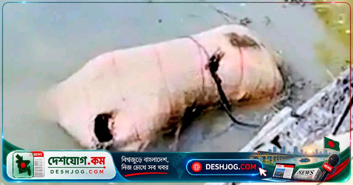 চাঁদপুরের বিল থেকে উদ্ধার করা বস্তাবন্দি নারীর মরদেহ: পরিচয় অজানা, তদন্ত চলছে