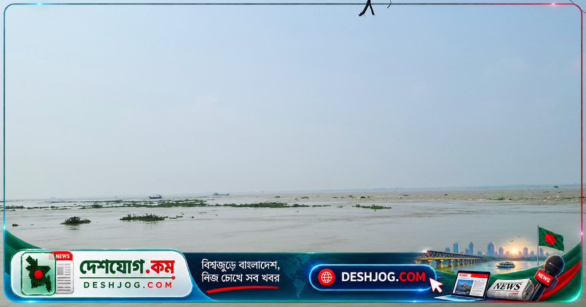 মা ইলিশের প্রজনন রক্ষায় চাঁদপুরে ২২ দিনের নিষেধাজ্ঞা: নদী ও মাছঘাট ফাঁকা, জেলেদের অবসর শুরু
