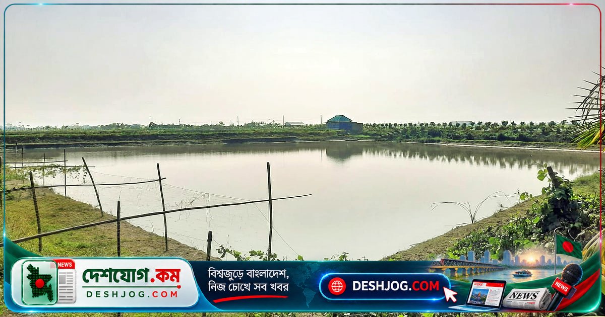 চাঁদপুরে পুলিশের মাছ বিক্রির অভিযোগে তদন্ত কমিটি গঠন, জড়িত ওসির বদলি