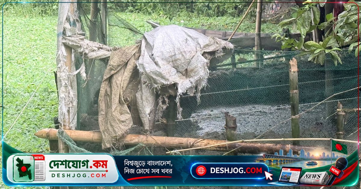 চাঁদপুরে পুকুর ভরাট ও বর্জ্য ফেলায় এক লাখ জরিমানা, সাত দিনে অপসারণের নির্দেশ