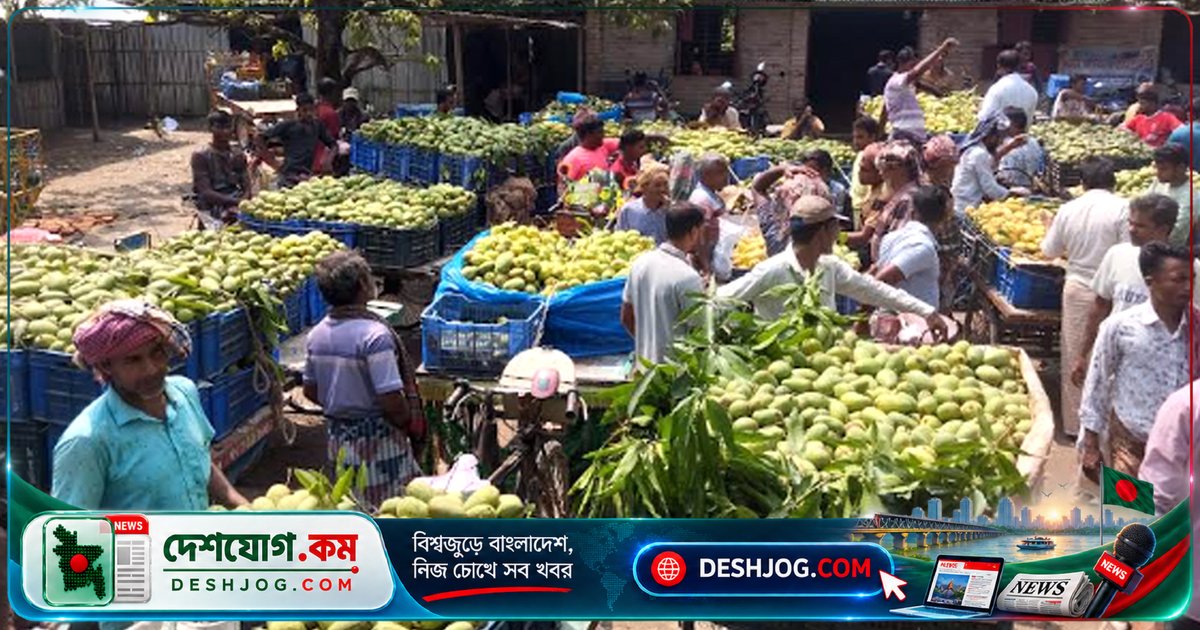 চাঁপাইনবাবগঞ্জে বারোমাসি আমের বিপ্লব: কোটি টাকার দিনে বাজার জমজমাট, কৃষক ও ব্যবসায়ীরা লাভবান
