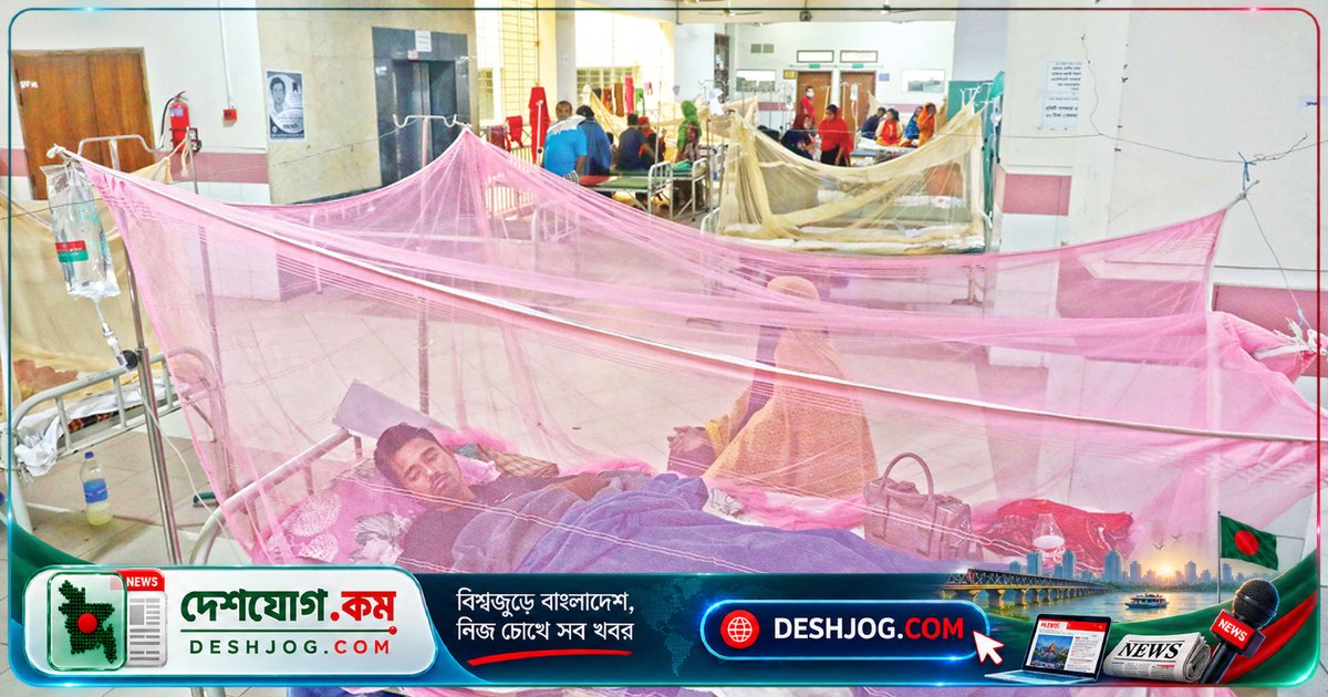 চাঁপাইনবাবগঞ্জে ডেঙ্গু মহামারী: ২৪ ঘণ্টায় ৪৩ রোগী ভর্তি, নারী মারা যান