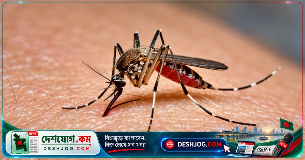 চাঁপাইনবাবগঞ্জে ডেঙ্গু মহামারী: ২৪ ঘণ্টায় ৪৩ রোগী ভর্তি, নারী ও শিশু মারা যায়