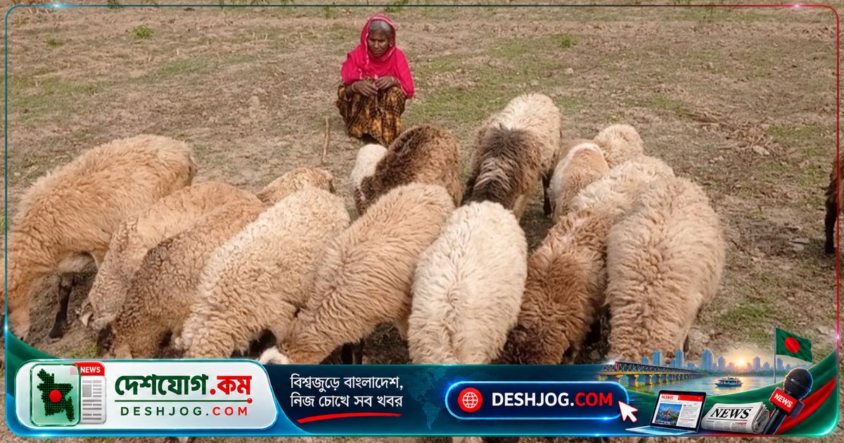 চরাঞ্চলের নারীরা প্রকৃতির বিপরীতে স্বাবলম্বী হয়ে উঠছেন প্রশিক্ষণ ও প্রাণিসম্পদ উন্নয়নের মাধ্যমে