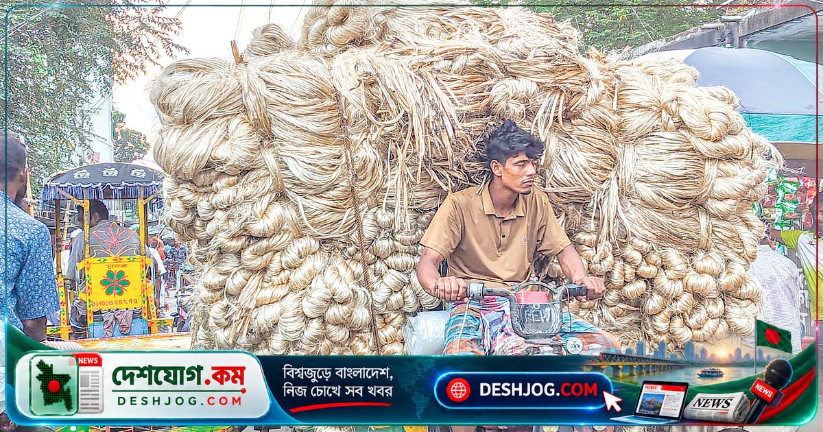 চাটমোহরের ঐতিহ্যবাহী পাটবাজারে সোনালি আঁশের বাণিজ্য ও আর্থিক প্রবাহ