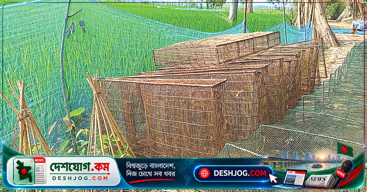 চলনবিলের প্রাচীন বাণিজ্য কেন্দ্র চাটমোহরের পুরাতন বাজার: শতাব্দী পুরানো গল্পের রহস্য কী?