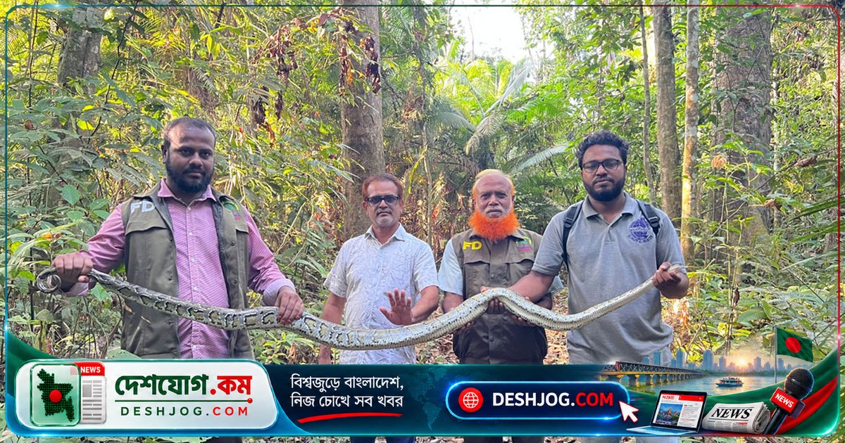 চট্টগ্রামের ফটিকছড়িতে ৮ ফুট লম্বা অজগর উদ্ধার, বন্যপ্রাণী অভয়ারণ্যে মুক্তি