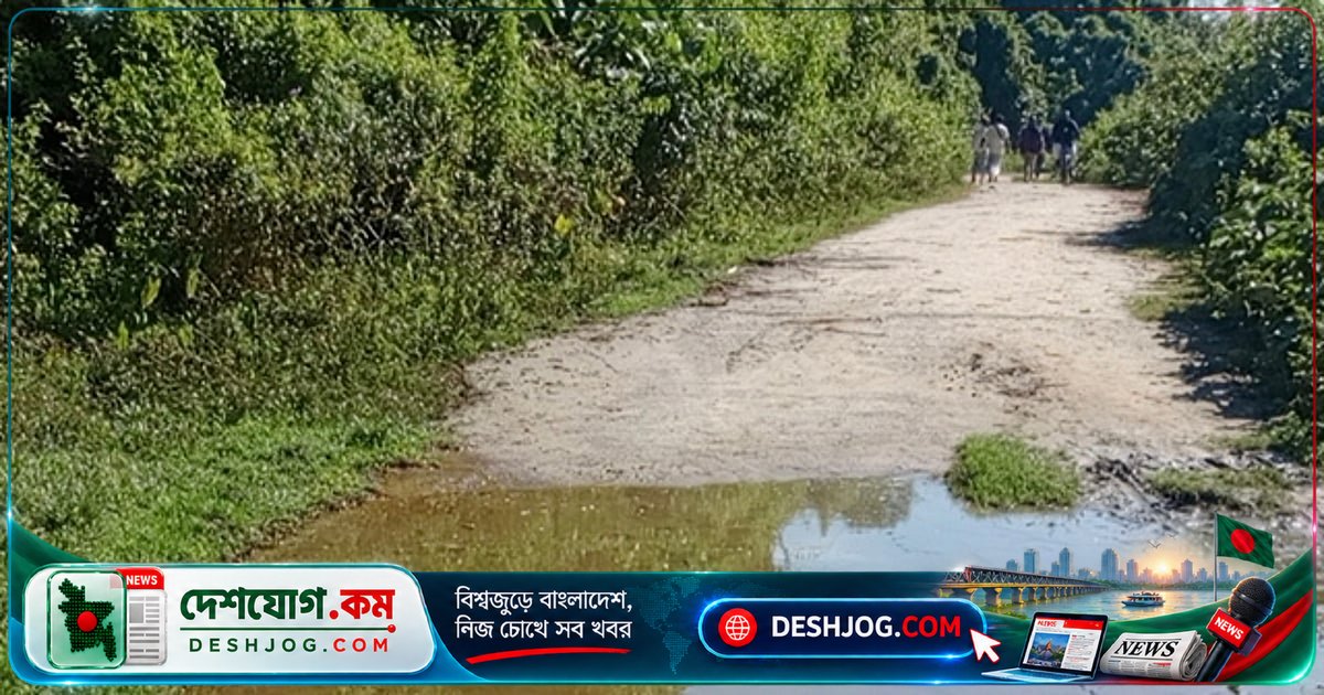 চট্টগ্রামের রাঙ্গুনিয়া: কৃষকের দুটি হাত কেটে সড়কে রেখে নিহত, বন্যহাতির আক্রমণে পাহারা দিতে গিয়ে