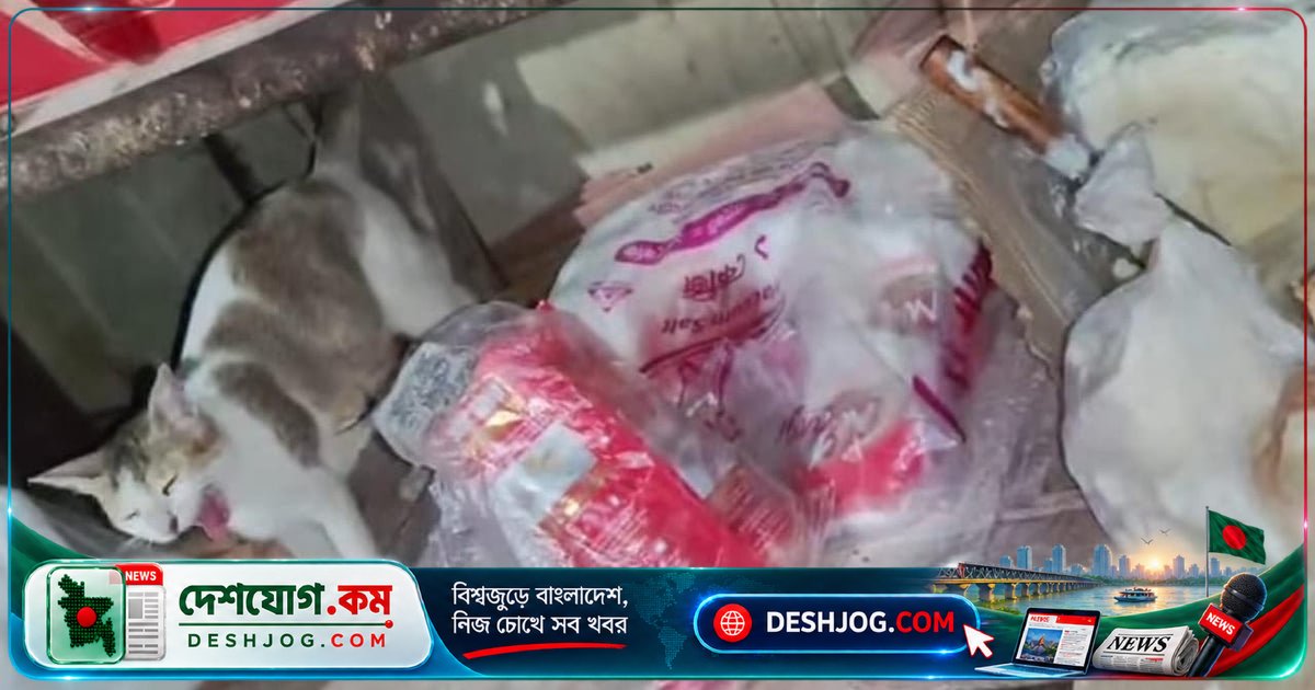 চট্টগ্রামে হোটেল-রেস্তোরাঁর খাবারে পোকা-মাকড় ও বিড়ালের অপমানজনক দৃশ্য: ৪২টি প্রতিষ্ঠানকে জরিমানা