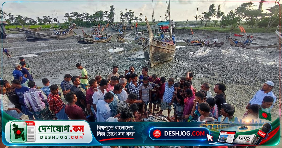 চট্টগ্রামের সন্দ্বীপে নিষেধাজ্ঞা লঙ্ঘন করে ইলিশ ধরা, জেলেদের সরকারি সহায়তা বিলম্বিত