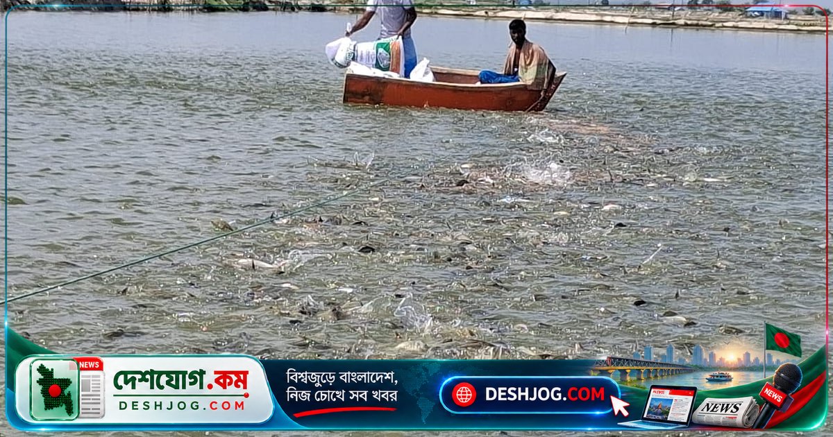 চট্টগ্রামের এক ইউনিয়নে মাছ চাষে শতাধিক কোটিপতি: কীভাবে বদলেছে জীবন?
