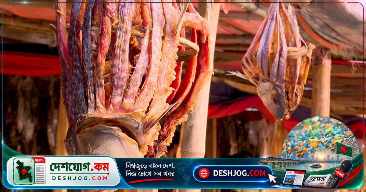 চট্টগ্রাম বিশ্ববিদ্যালয়ের গবেষণা: শুঁটকিতে মাইক্রো প্লাস্টিকের ঝুঁকি কত?
