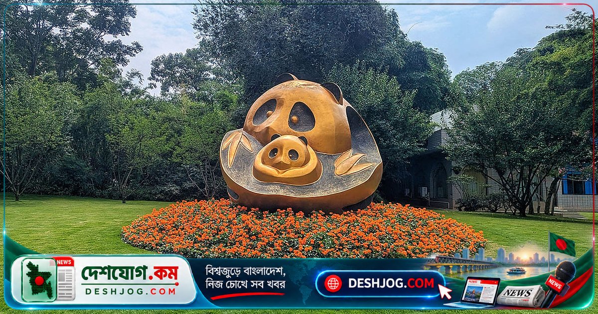 চেংদুর পান্ডা থেকে মাও সে-তুংয়ের ভাস্কর্য: ধীর জীবন ও ইতিহাসের শক্তি