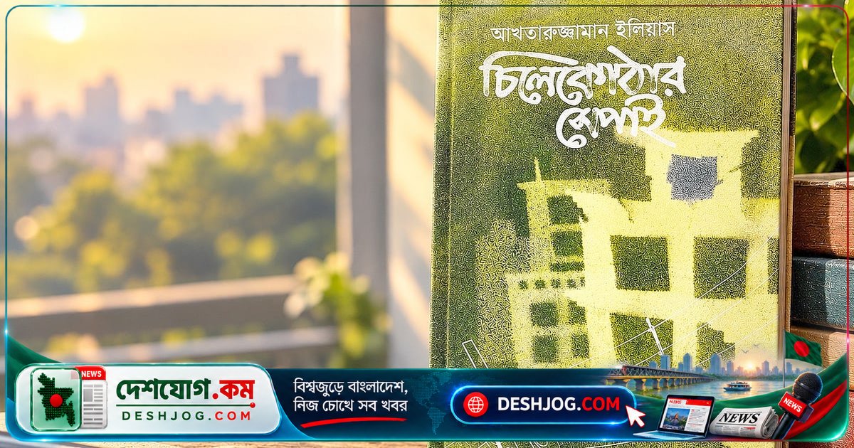 'চিলেকোঠার সেপাই' উপন্যাসের গভীরতা কেন পাঠকদের চিন্তা-চেতনা পাল্টায়?
