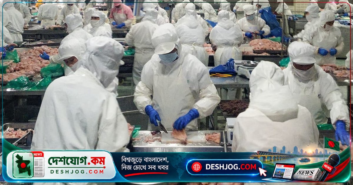 চীনা মুরগির মাংস বিশ্ববাজারে দামের যুদ্ধে প্রতিযোগিতার নতুন মাত্রা সৃষ্টি করছে