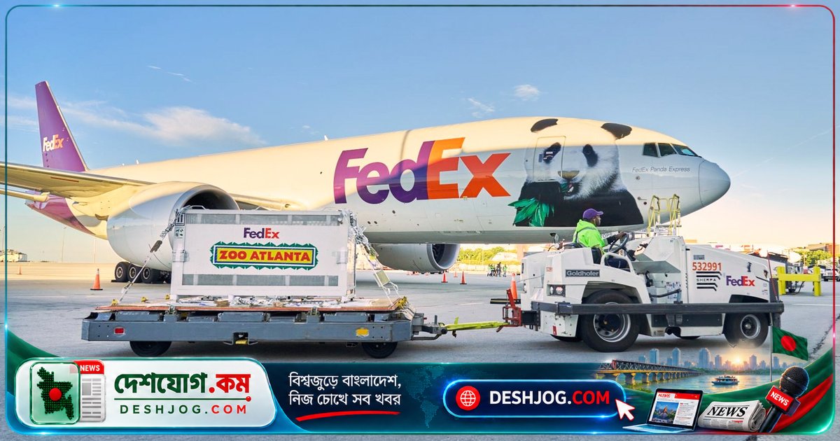 চীন-আমেরিকা মৈত্রীর প্রতীক: জর্জিয়ায় পৌঁছেছে দু’টি বড় বাঘপাখি, ১০ বছরের জন্য বিনিময় চুক্তি অনুযায়ী