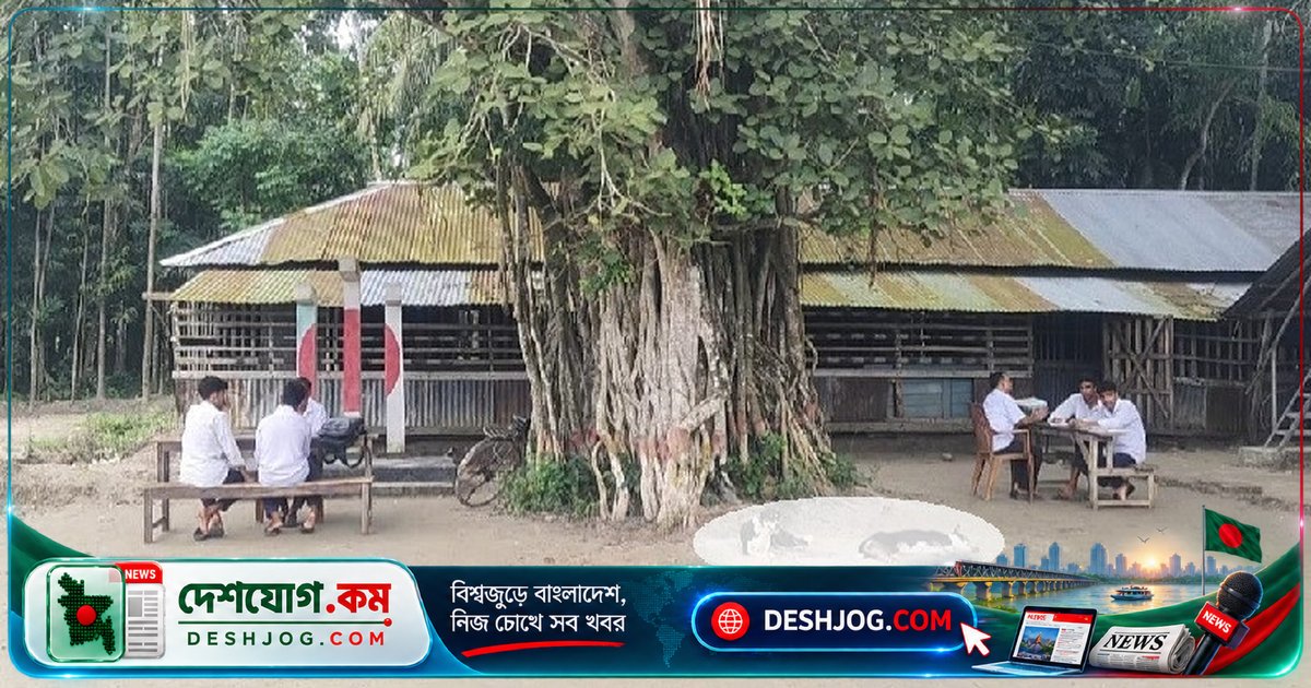 বাগেরহাটের স্কুলে ঝুঁকিপূর্ণ পরিবেশে পাঠদান: বটগাছের নিচে ও জরাজীর্ণ ভবনে ক্লাস চলছে