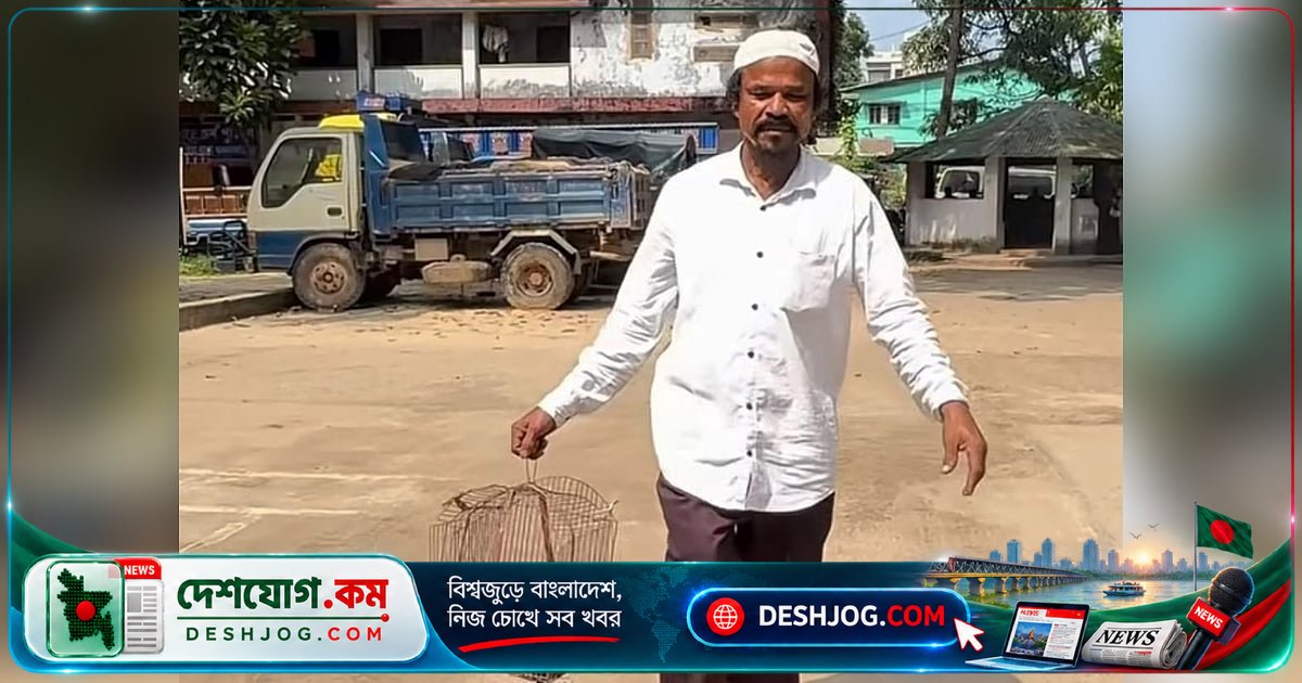 চকরিয়া থানায় পোষা বিড়াল হত্যার অভিযোগ: প্রতিবেশী নারীর বিরুদ্ধে পিটিয়ে মৃত্যুর দায়
