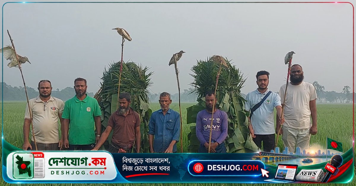 চলনবিলে বক শিকারিরা জেল-জরিমানা, ৫০ পাখি উদ্ধার করে অবমুক্ত করা হয়
