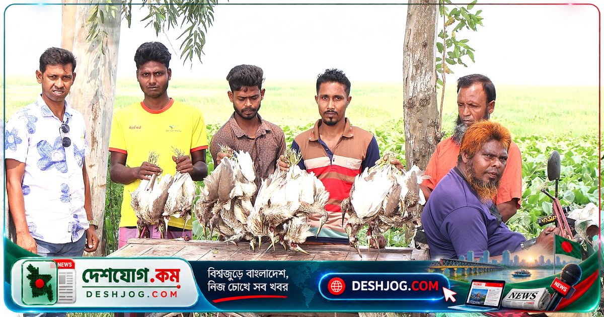 চলনবিলে বক শিকার ও জবাই: ভ্যানচালক সহ তিন শিকারি ও দুই সহযোগীকে জরিমানা ও কারাদণ্ড